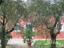 Vorschaubild	Villa Lucrezia di Borghese - Ferienhaus